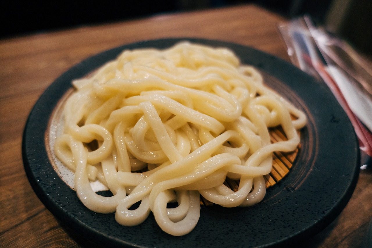 Udon without soup